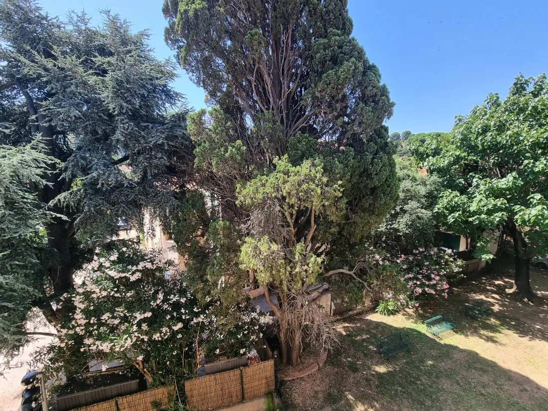 Location de Vacances Collioure 295