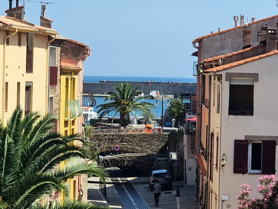 Location de Vacances Collioure 296