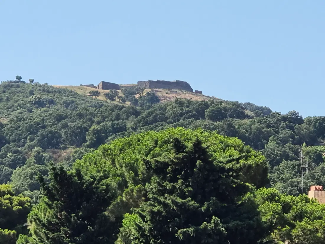 Location de Vacances Collioure 296
