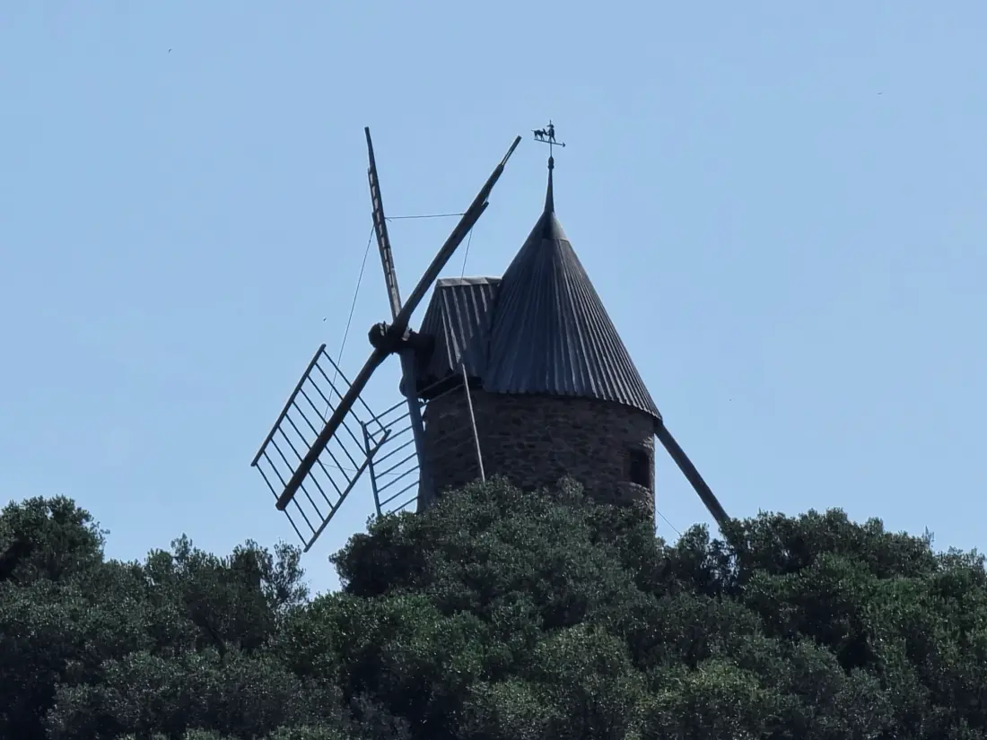 Location de Vacances Collioure 296