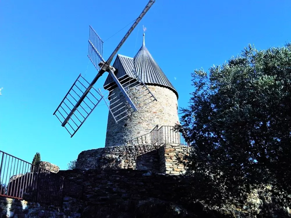 Résidence Haut De Collioure