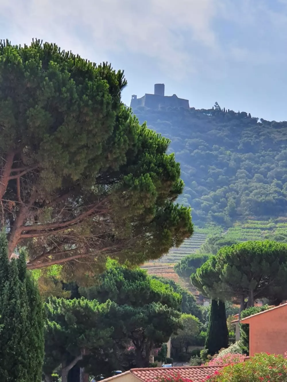 Résidence Le Val Saint-elme
