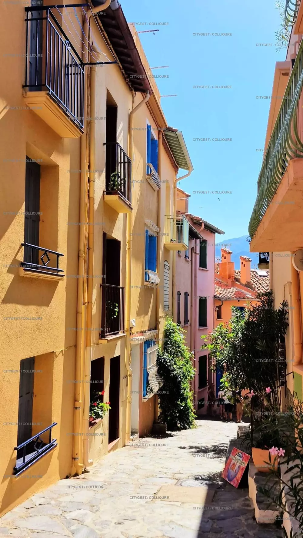 Résidence Les Roches Bleues