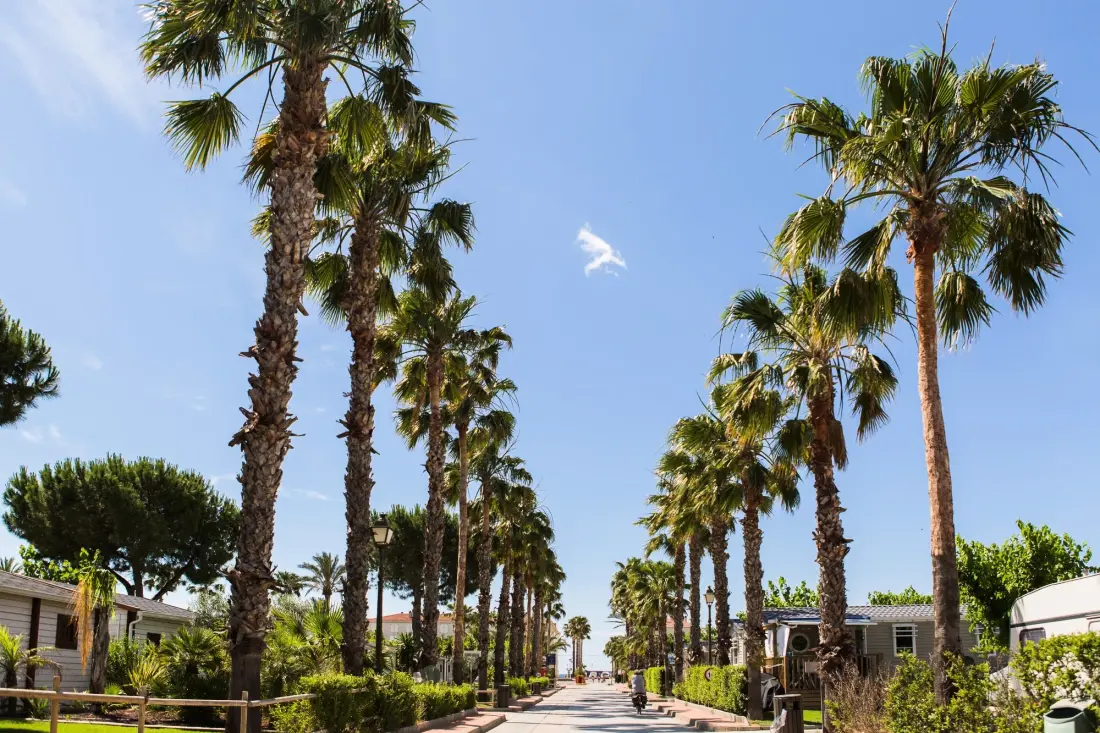 Camping Estival Vendrell Platja by Viajes Velero 3 étoiles★★★