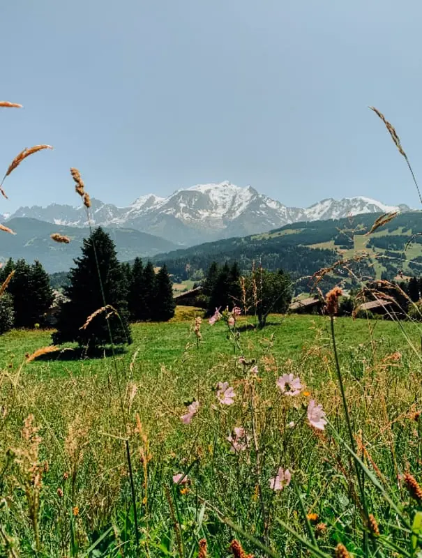 Appartement Près Des Pistes Combloux