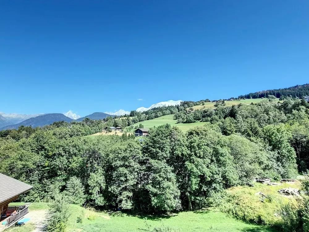 Location de Vacances Combloux 106