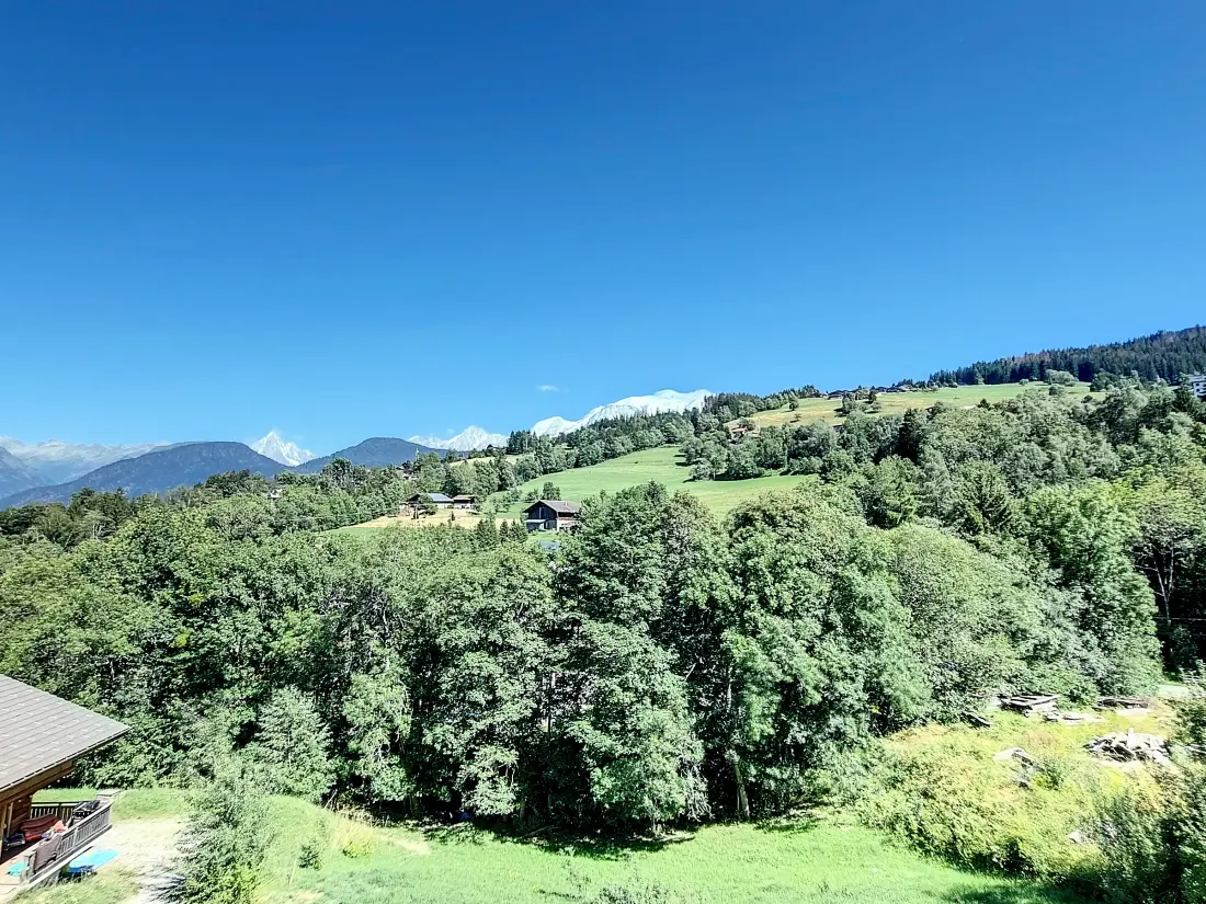 Location de Vacances Combloux 106