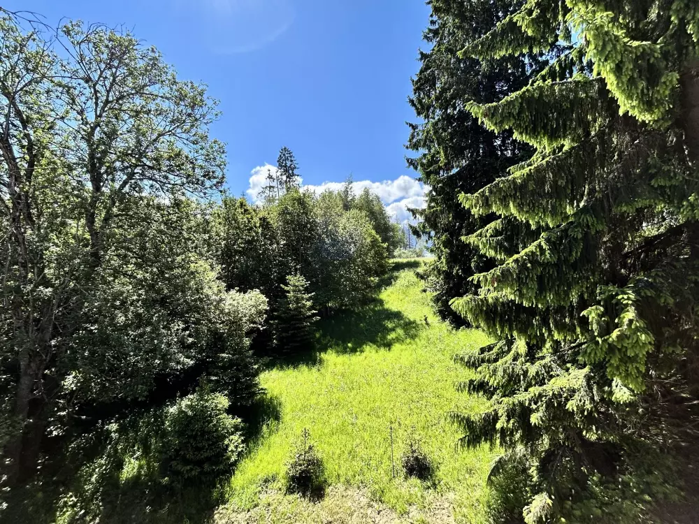 Location de Vacances Combloux 140