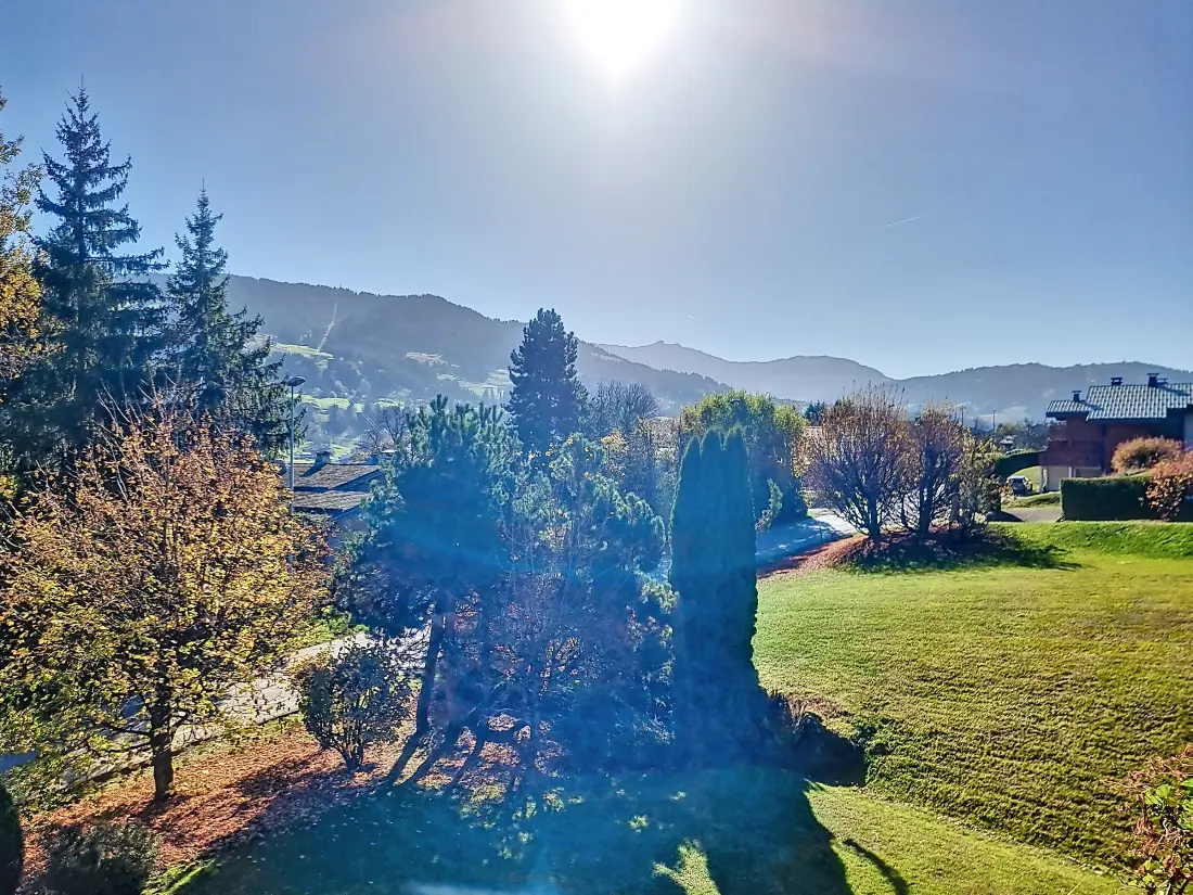 Location de Vacances Combloux 159