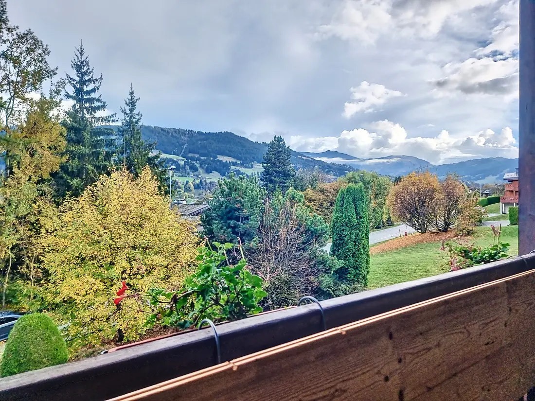 Location de Vacances Combloux 159