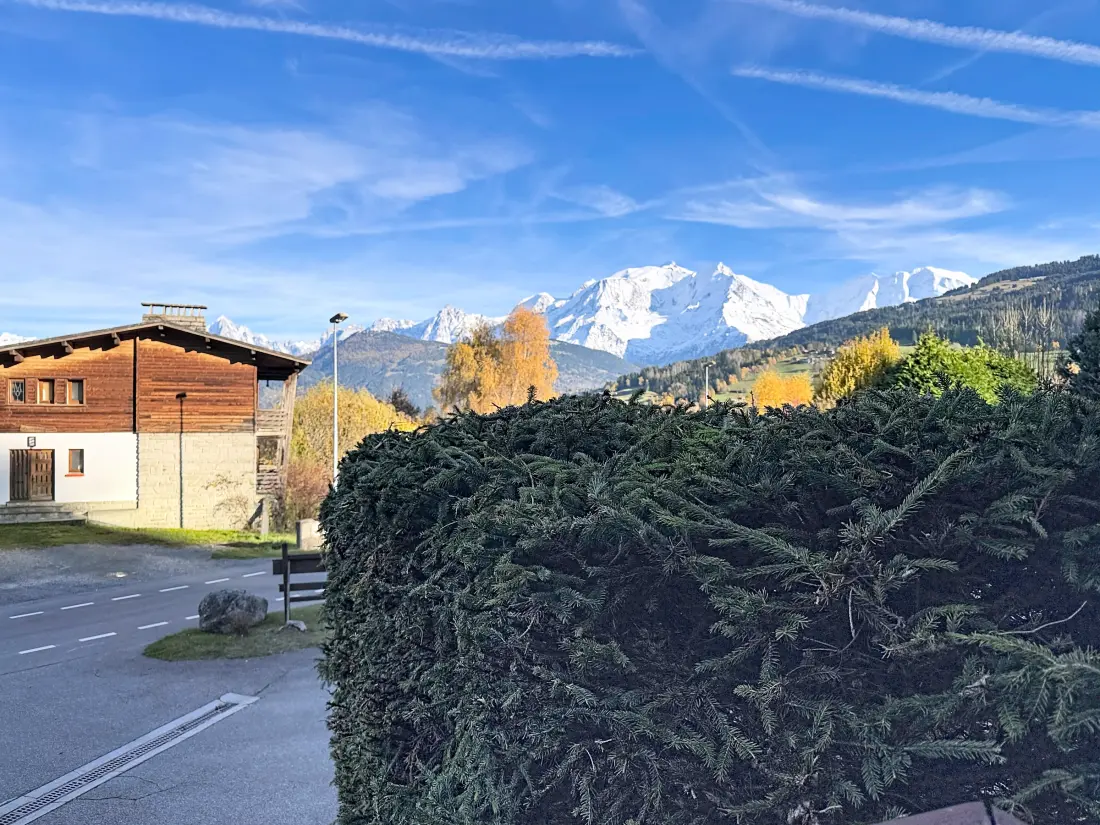 Location de Vacances Combloux 163