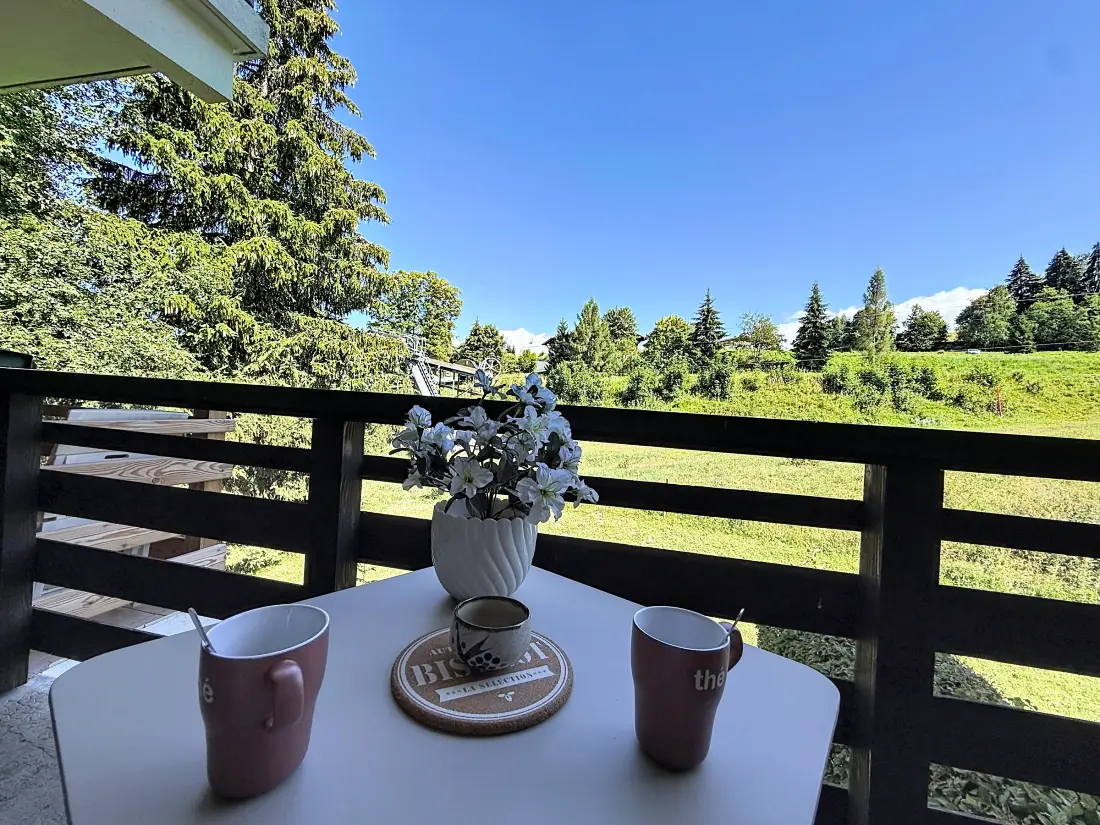 Location de Vacances Combloux 174