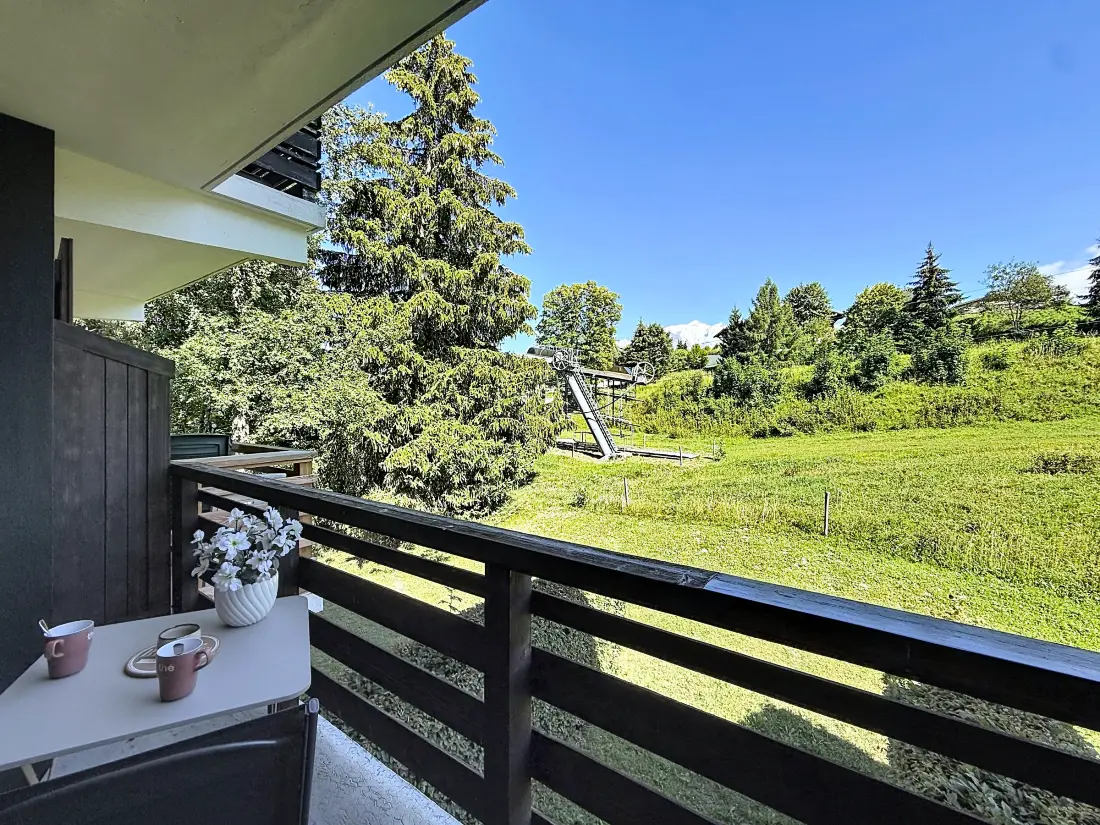 Location de Vacances Combloux 174