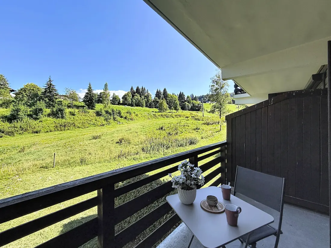 Location de Vacances Combloux 174