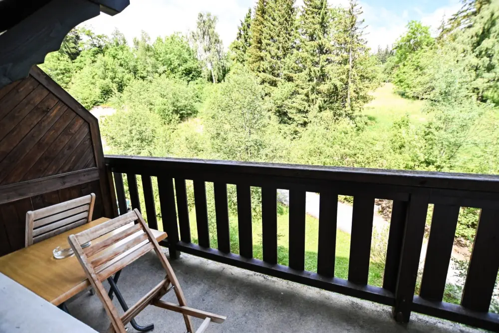 Lumineux Studio Avec Balcon