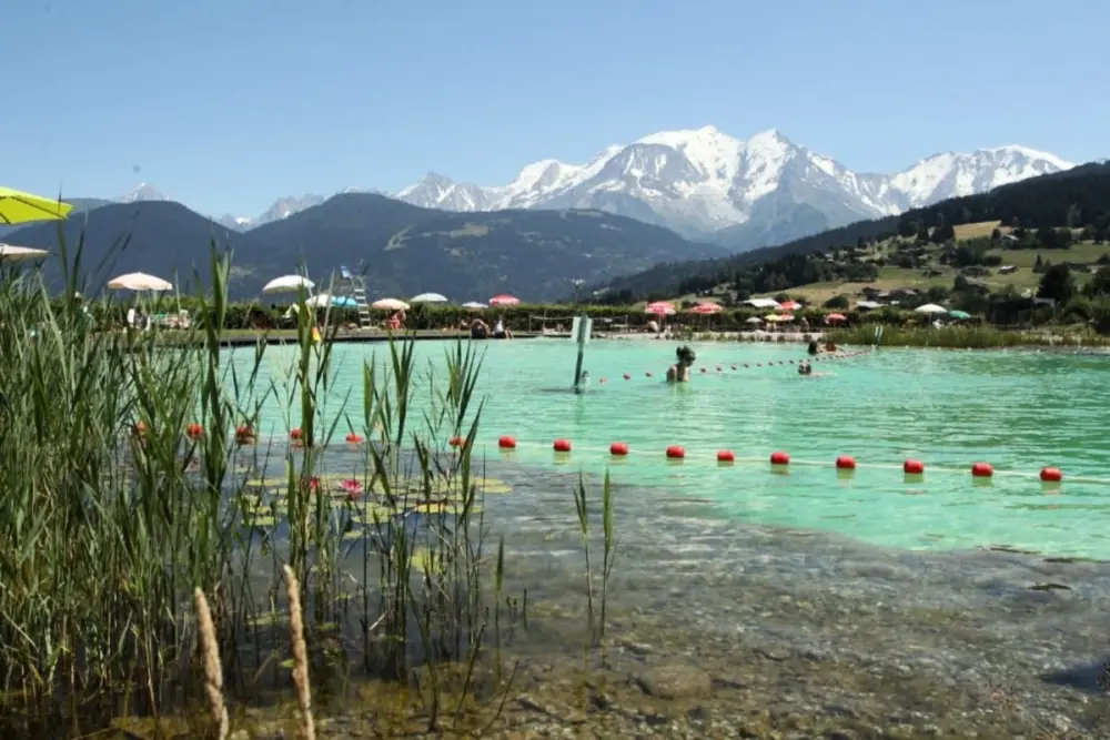 Rayon Des Aravis