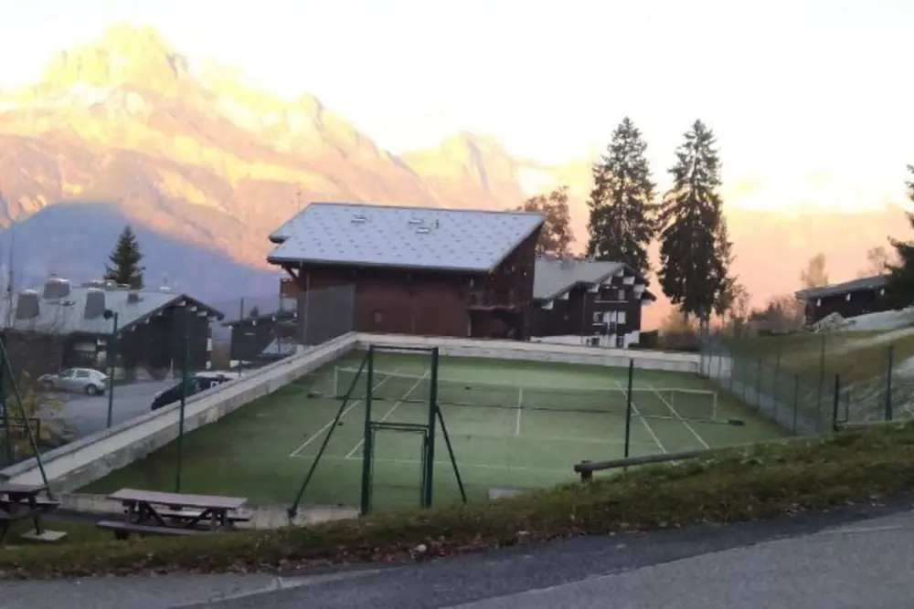 Rayon Des Aravis