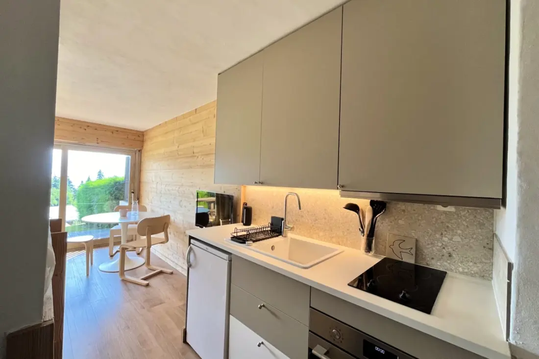 Studio Vue Mont-blanc, Terrasse Et Jardin