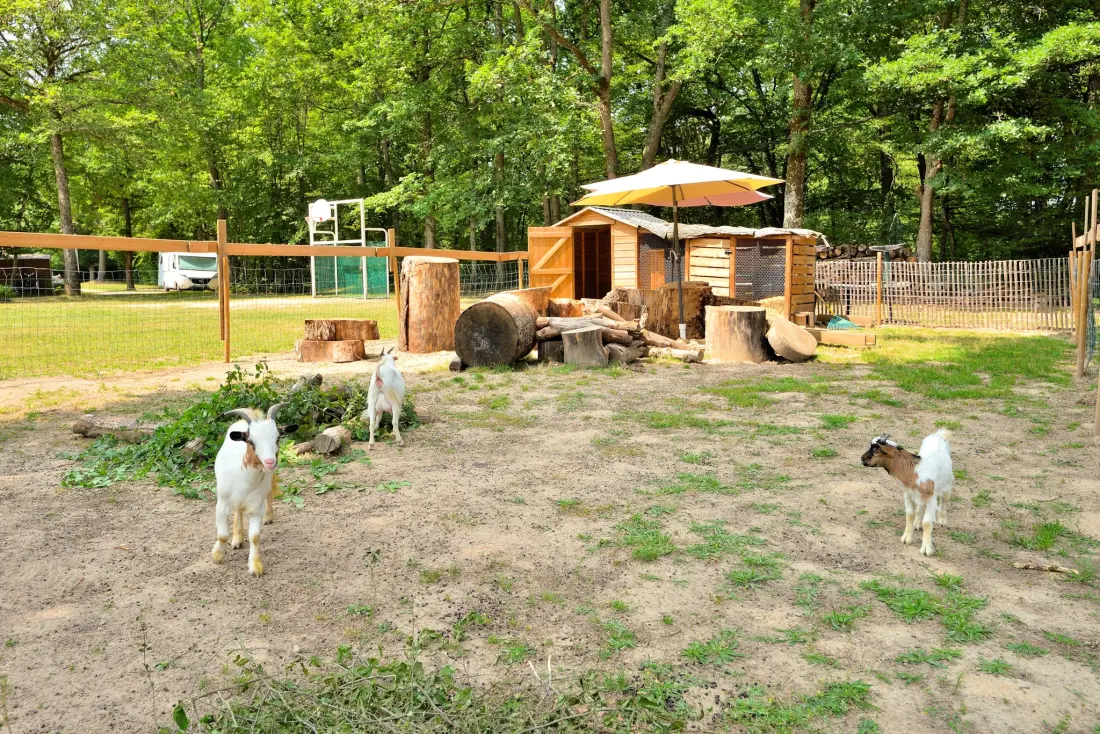 Camping Seasonova Etang de la Vallée 3 étoiles★★★