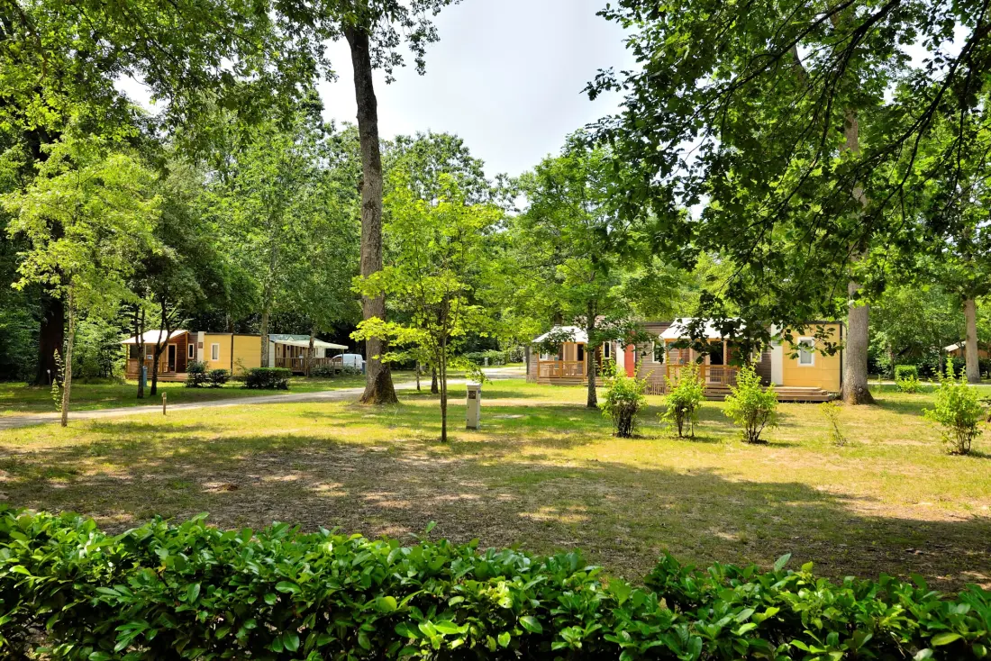 Camping Seasonova Etang de la Vallée 3 étoiles★★★