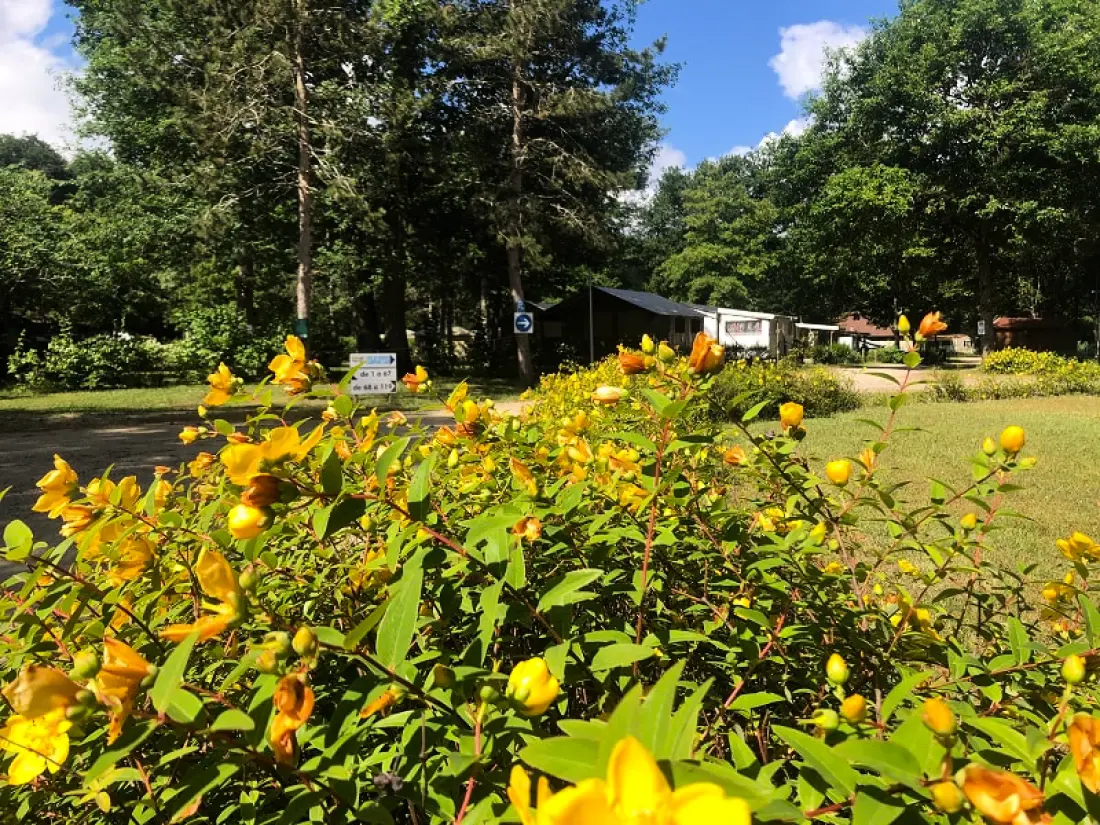 Camping Seasonova Etang de la Vallée 3 étoiles★★★