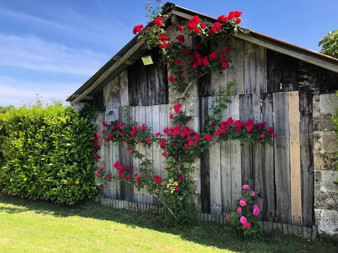 Maison de Vacances Commequiers 3