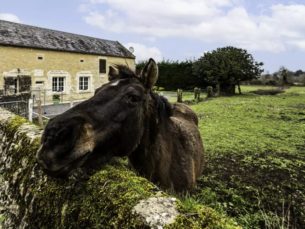 Maison de Vacances Commes