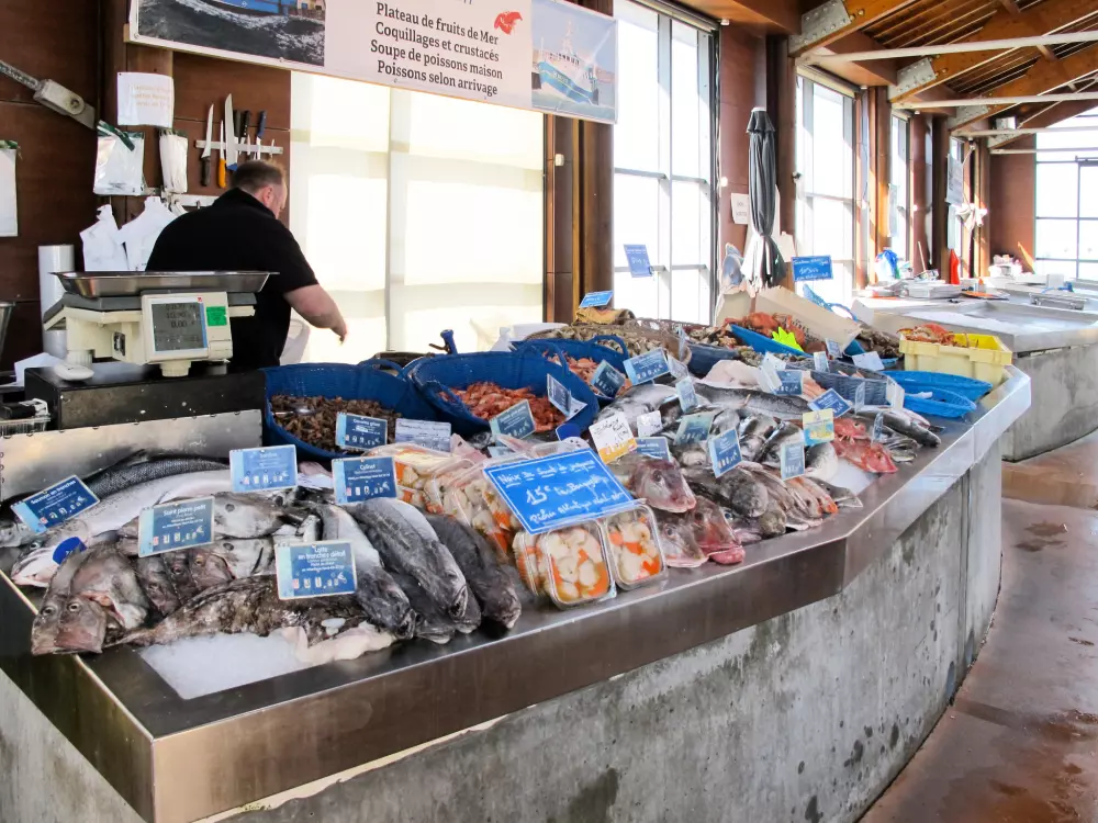 Maison de Vacances Commes