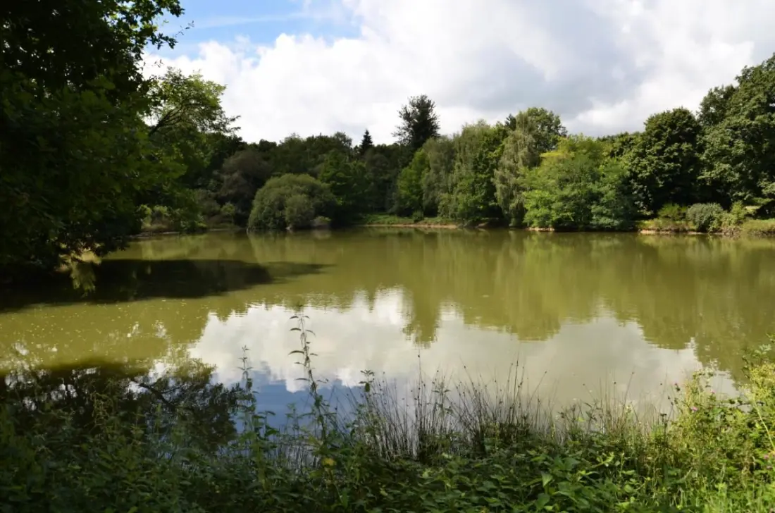 Gîte de France La faye 3 épis
