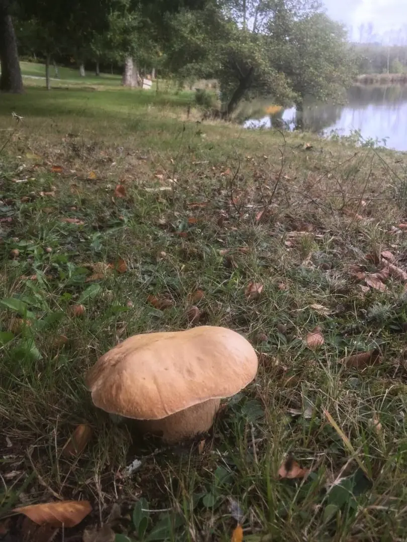 Gîte de France La rode 3 épis