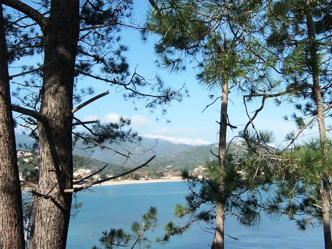 Location de Vacances Conca 67