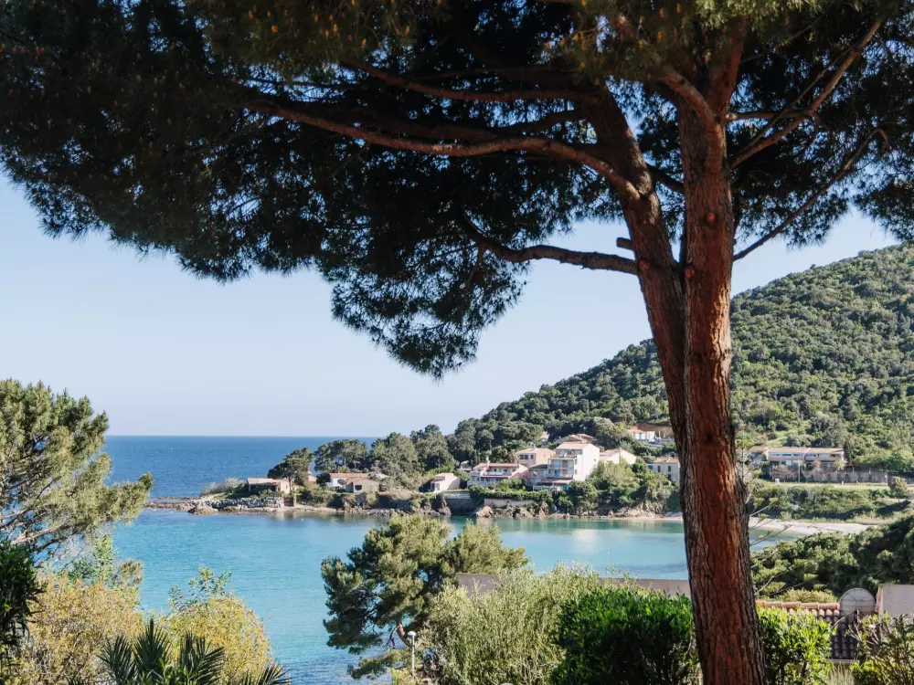 Résidence Le Télémaque 3 pièces mezzanine