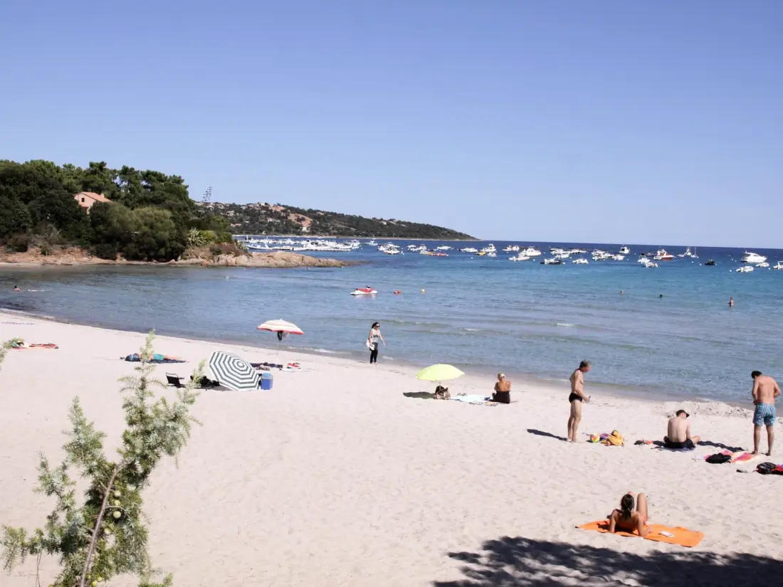 Résidence Unterkunft mit Terrasse, Klimaanlage. Schwimmbad