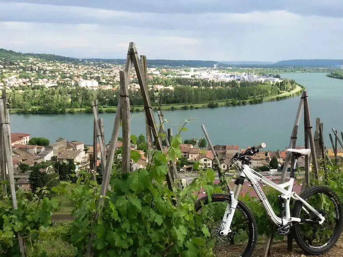 Résidence Die Ufer der Rhone