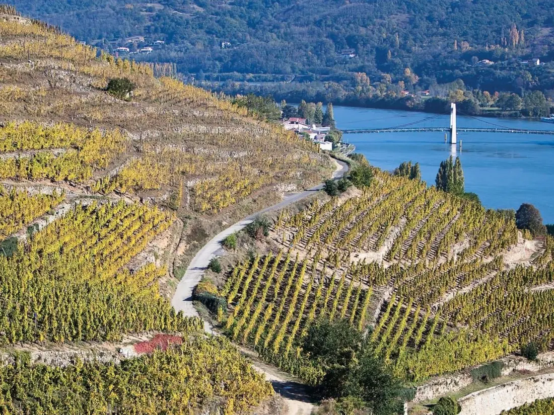 Résidence Die Ufer der Rhone