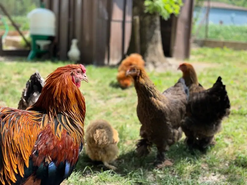 Gîte de France Gite du lapin bleu 3 épis