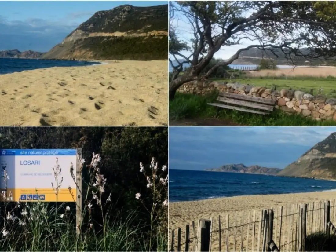 Résidence Wohnung mit allem Komfort Strand zu Fuß