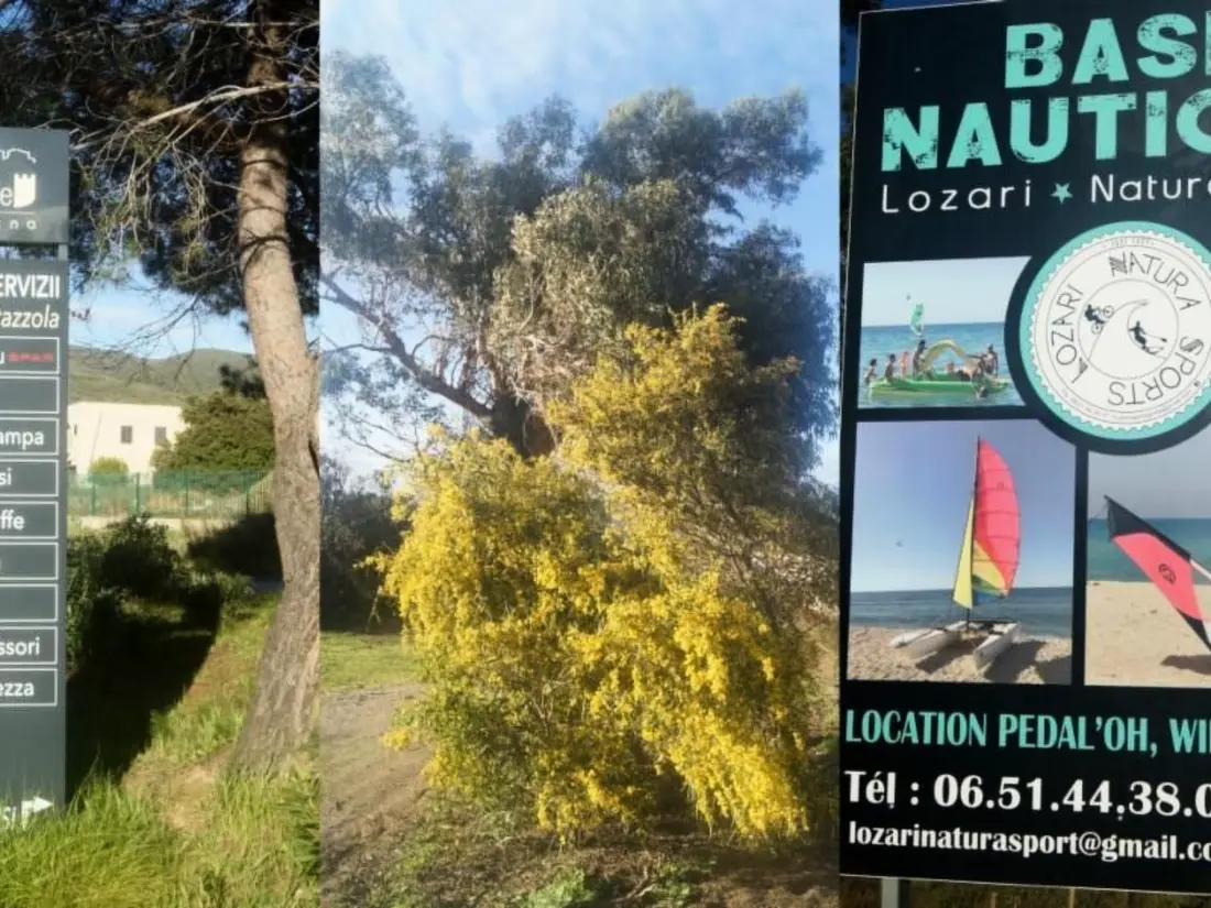 Résidence Wohnung mit allem Komfort Strand zu Fuß