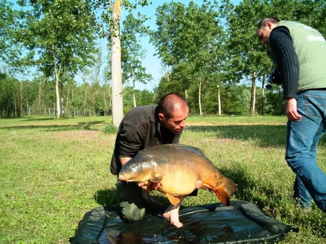 Base de Loisirs - Camping du Lac Cormoranche 4 étoiles★★★★