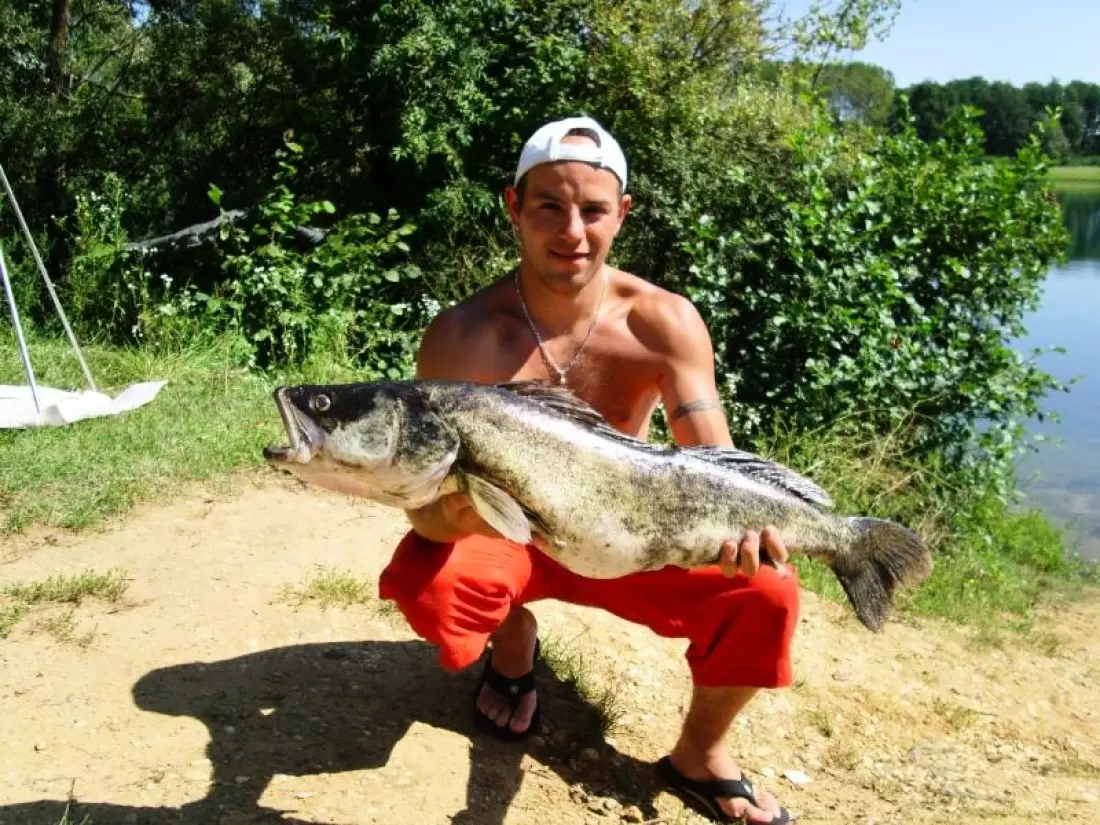 Base de Loisirs - Camping du Lac Cormoranche 4 étoiles★★★★