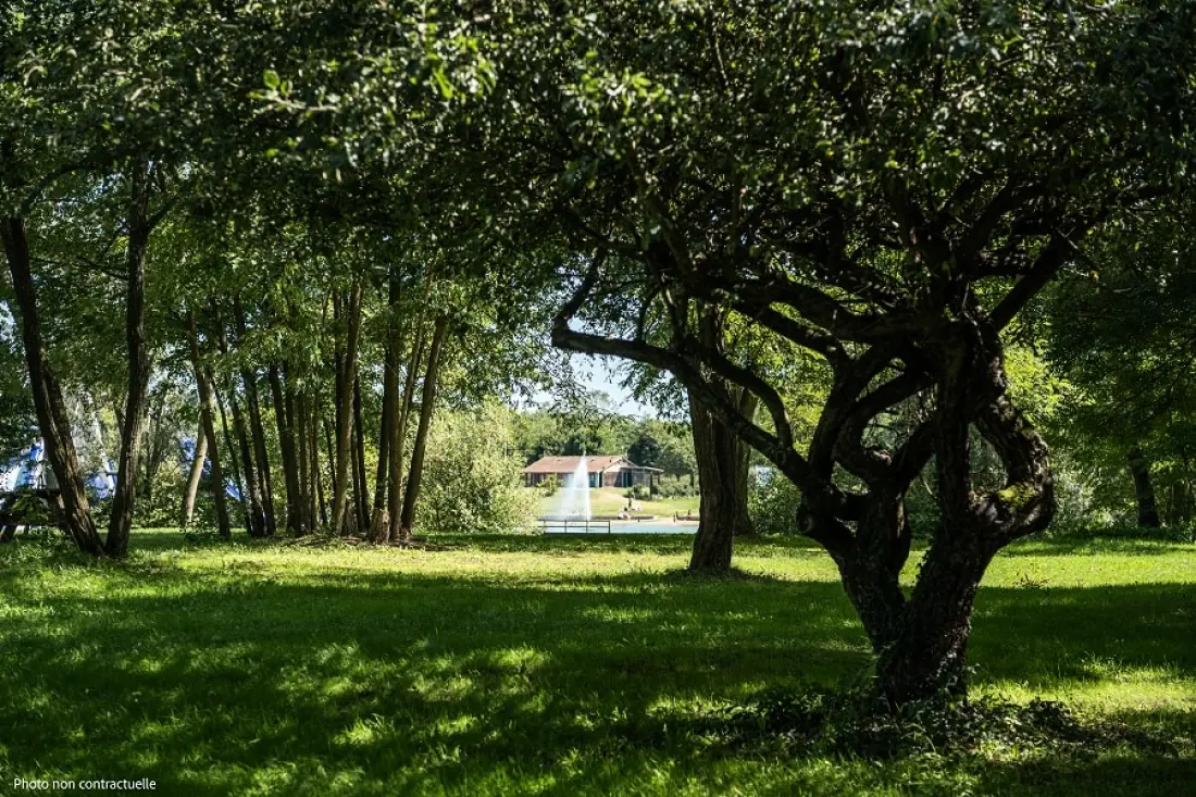Base de Loisirs - Camping du Lac Cormoranche 4 étoiles★★★★