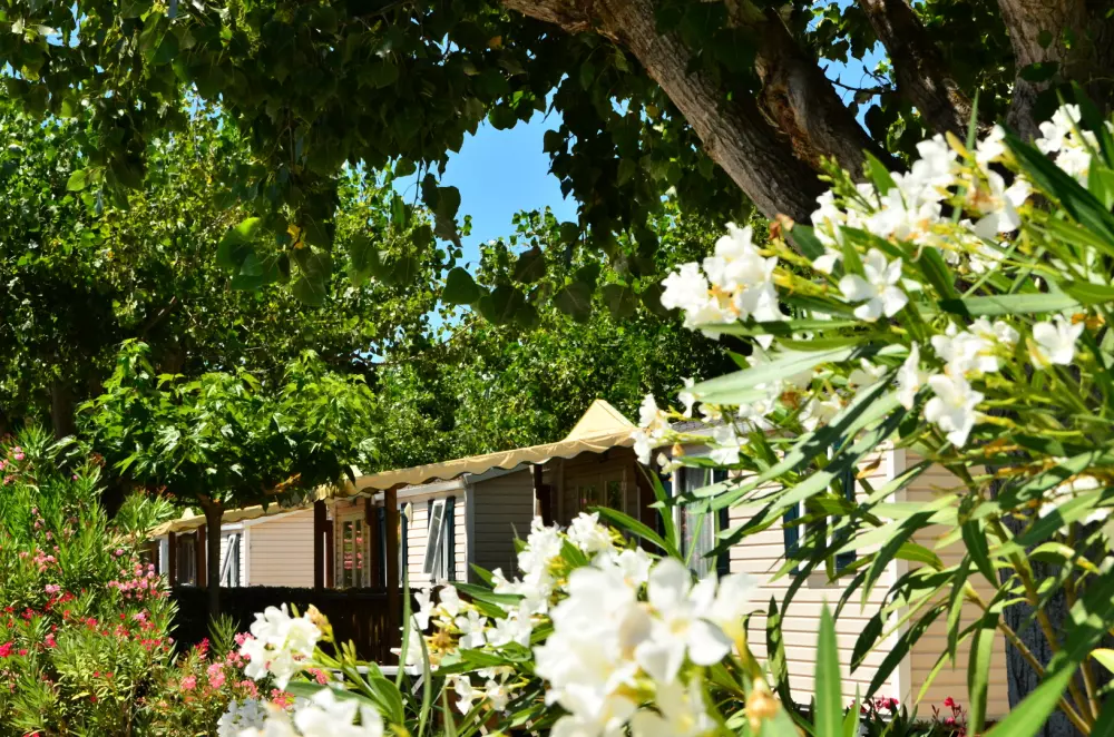 Camping Paradis Les Amarines 4 étoiles★★★★