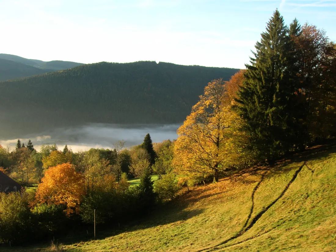 Location de Vacances Cornimont