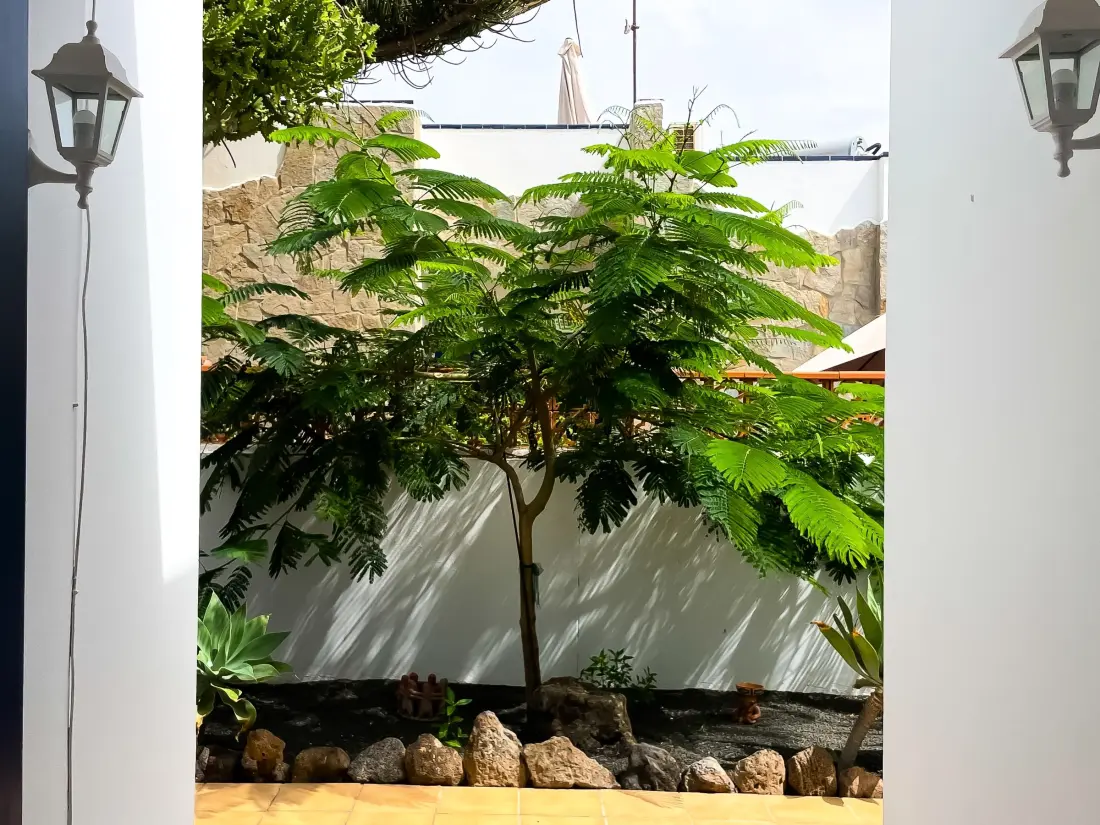 Maison de Vacances Corralejo 3