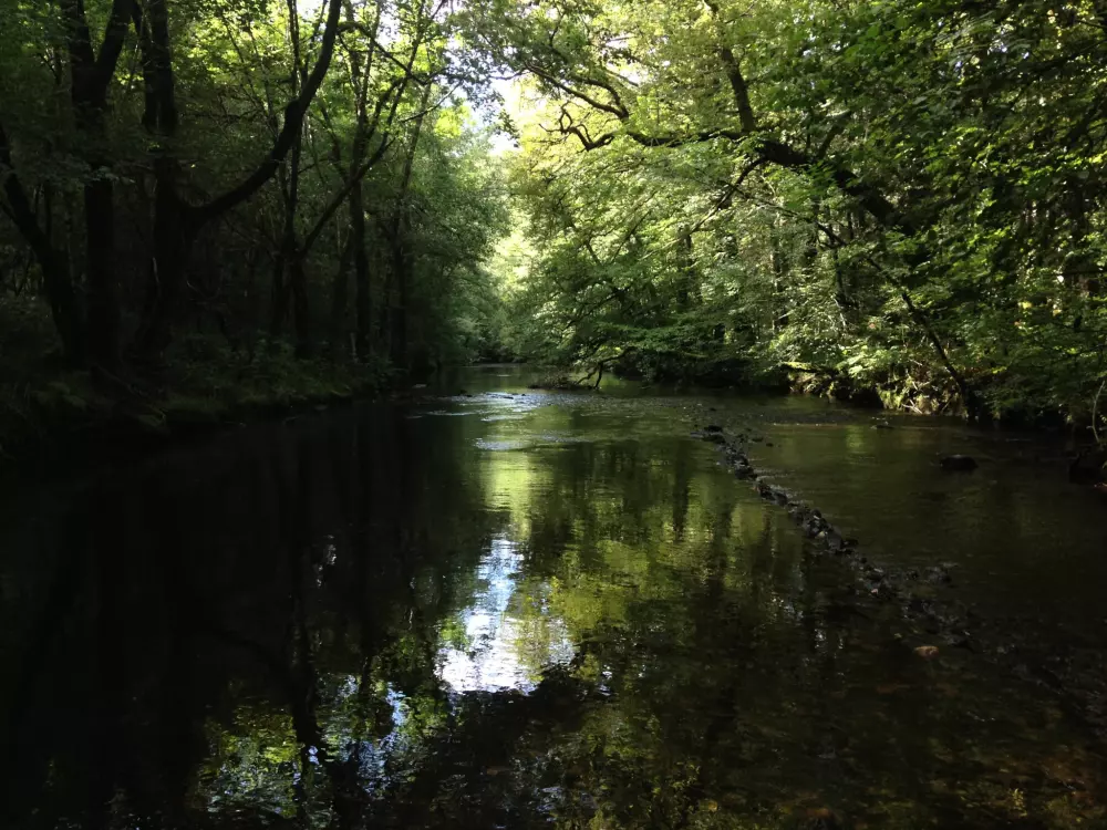 Au Bois de Calais 3 étoiles★★★