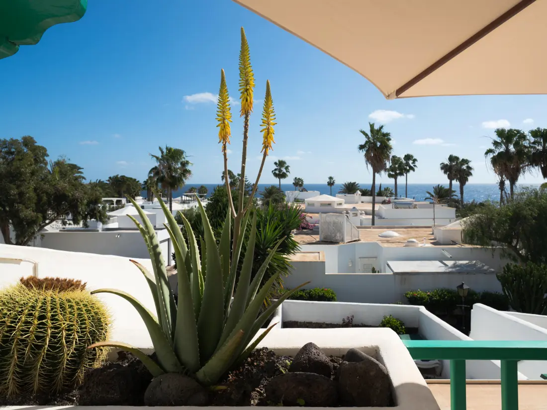 Maison de Vacances Costa Teguise 60