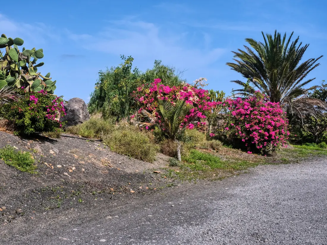 Maison de Vacances Costa Teguise 42