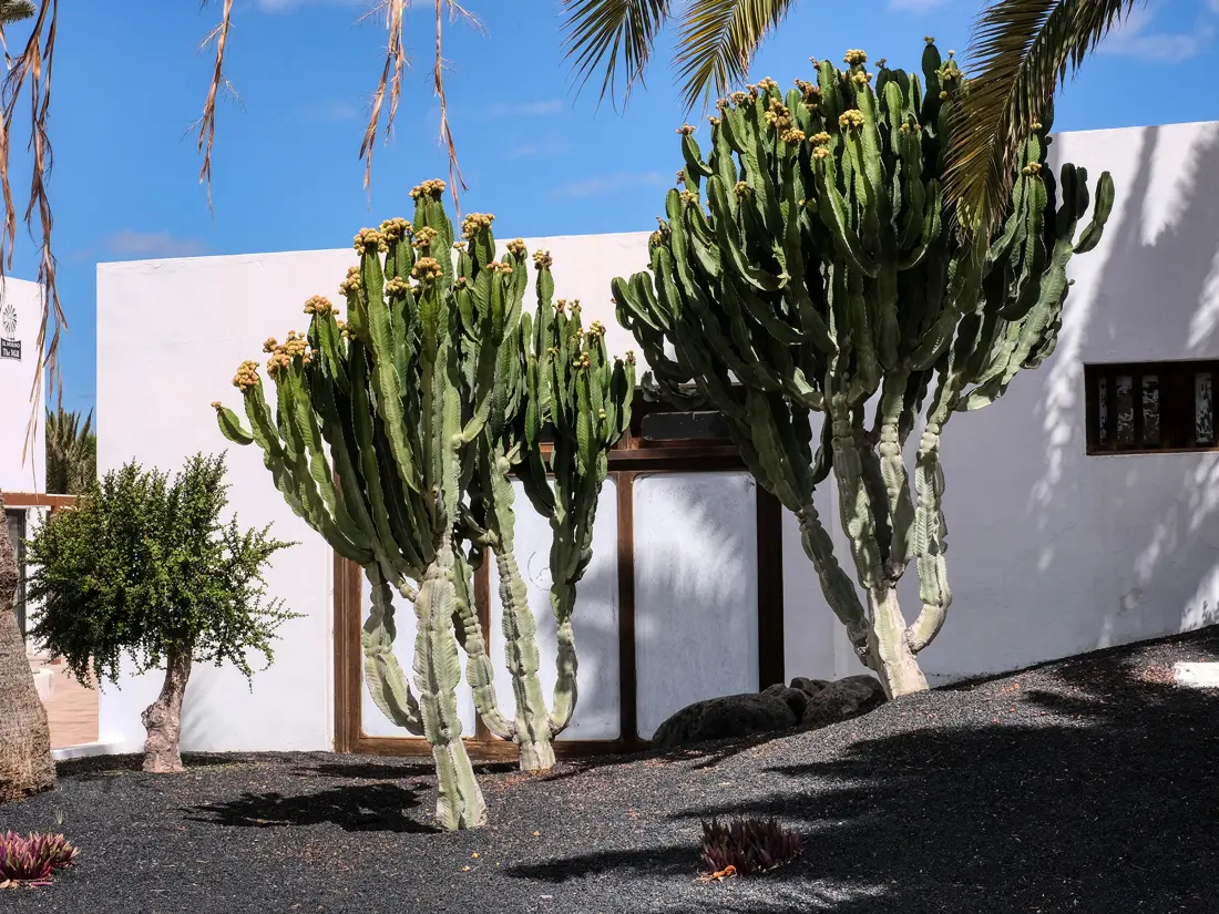 Maison de Vacances Costa Teguise 48