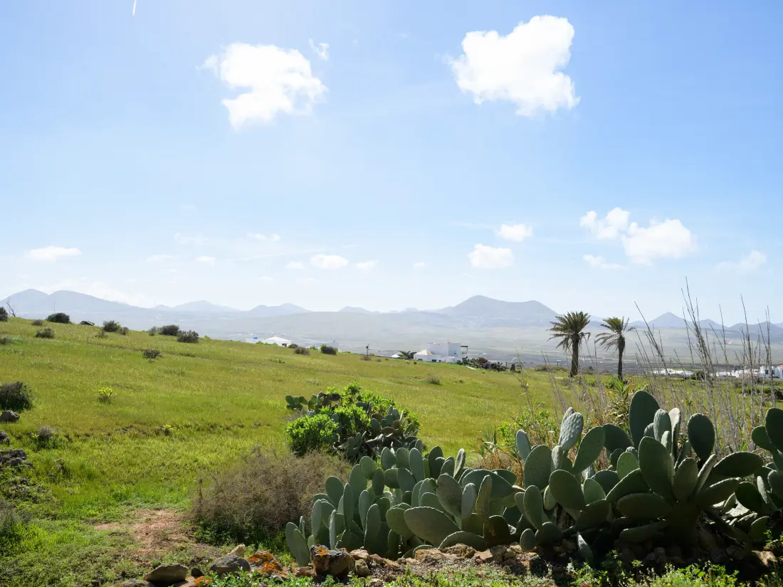 Maison de Vacances Costa Teguise 74