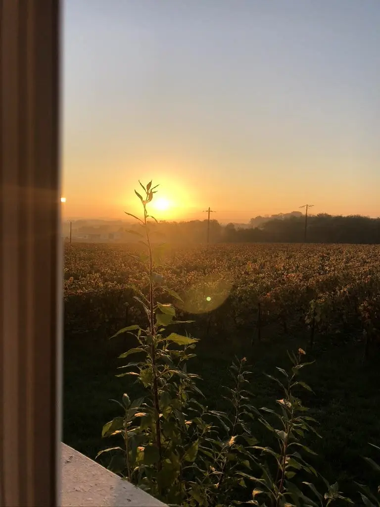 Gîte de France Gite de la treille 3 épis